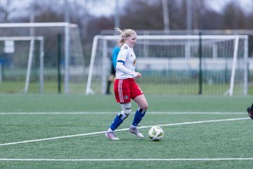 Bild 132 - wBJ HSV - F VfL Jesteburg : Ergebnis: 6:1